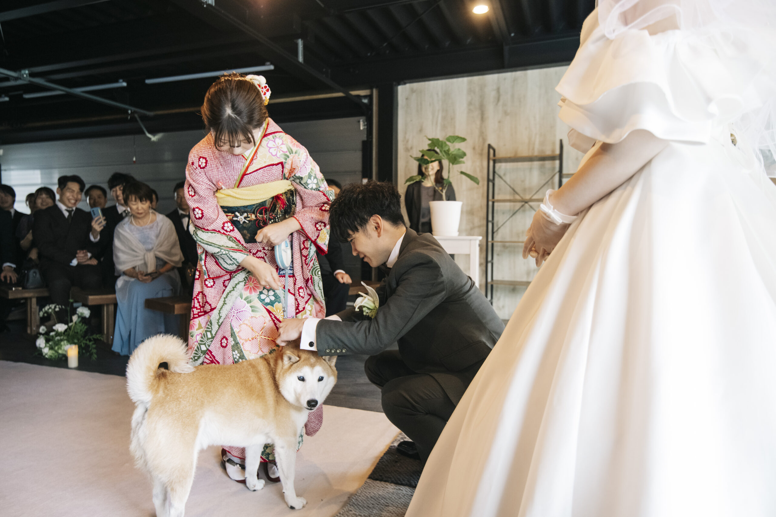 家族とペットも参加する結婚式